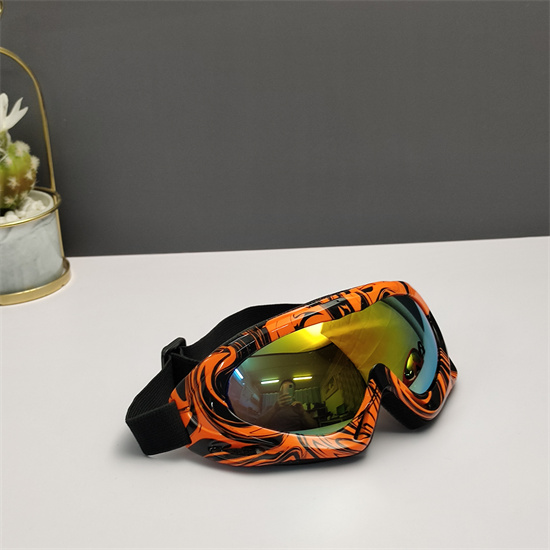 Oakley Ski Goggles 018